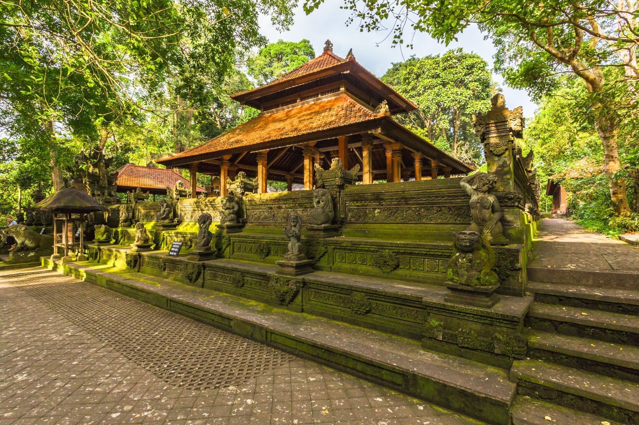 Monkey Forest. Bali Indonesia.