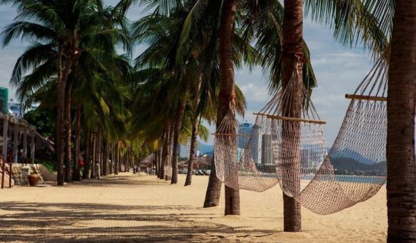 view of hammocks across palm trees on sand beach of resort city