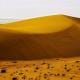sand-dunes-164510 PHAN THIET