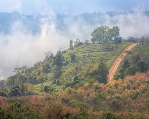 dreamstime_m_68871299 Dirt road track on remote mountain with fog and meadow in the background at Phu Lom Lo Loei