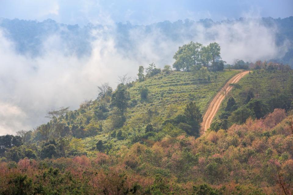 dreamstime_m_68871299 Dirt road track on remote mountain with fog and meadow in the background at Phu Lom Lo Loei