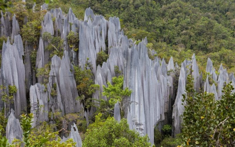 Mulu Pinnacles & Show Caves