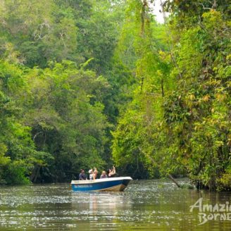 Sukau-Kinabatangan-River-Cruise