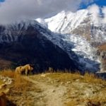 Annapurna trekking Nepal (8)
