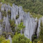 Pinnacles, Mulu Nationalpark, Borneo, Malaysia
