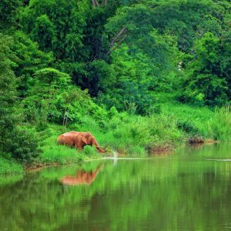 Thungyai-Huai Wildlife Park