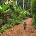 shutterstock_522619033 Woman walking in a lush jungle path in the Koh Kood island