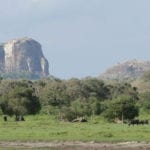 Yala National Park Elephant Rock