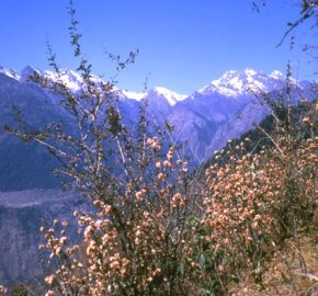 Langtang Ganja La Pass