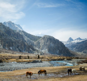 Mustang Valley