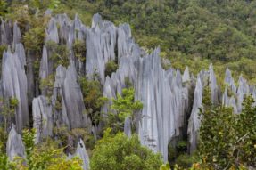 Pinnacles, Mulu Nationalpark, Borneo, Malaysia